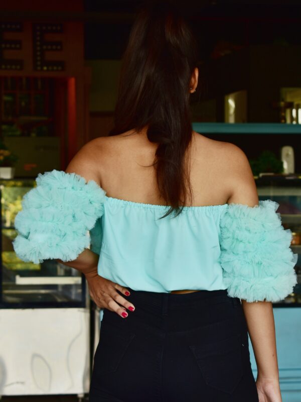Ruffled Tulle Off Shoulder Top